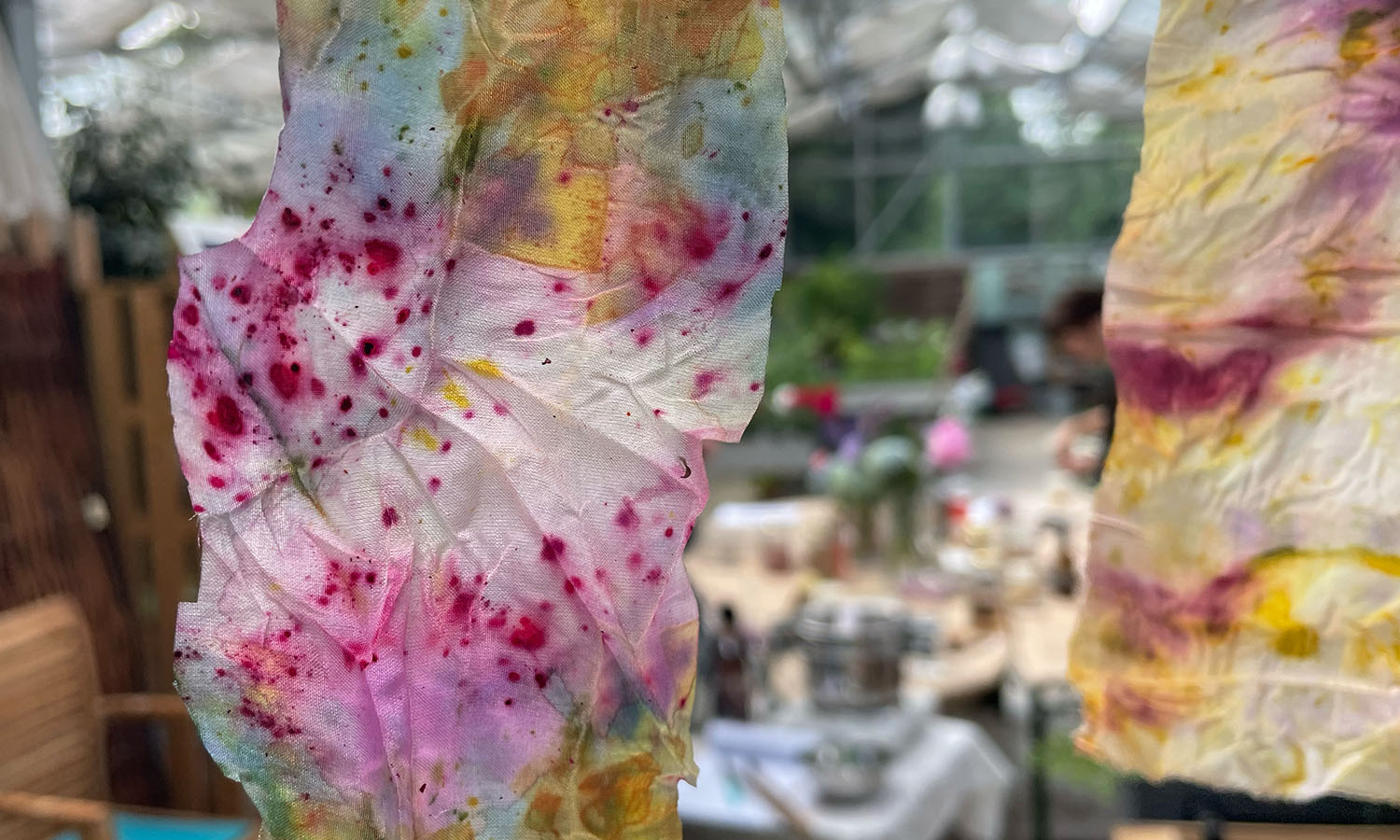 Botanical dye results in pink and yellow