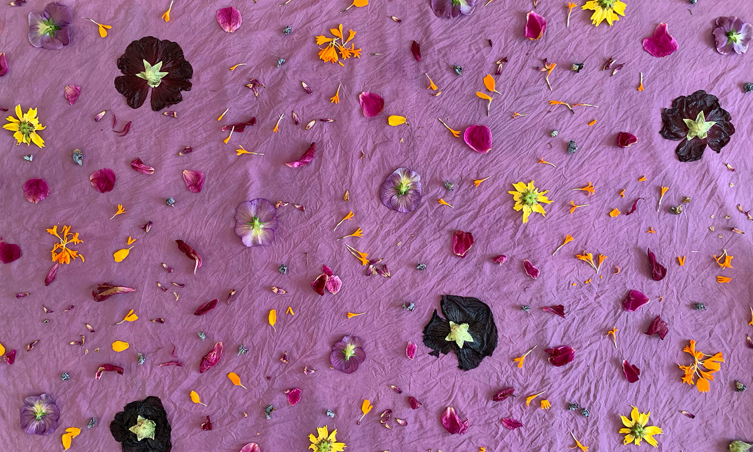 Purple dyed fabric with colorful flowers